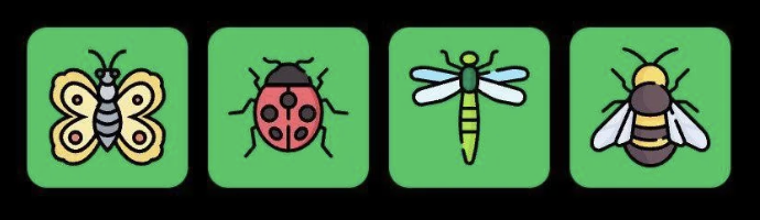 FLIES Daily Combo 6 May 2025